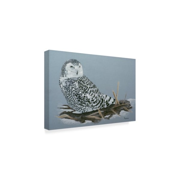 Rusty Frentner 'Owl' Canvas Art,30x47